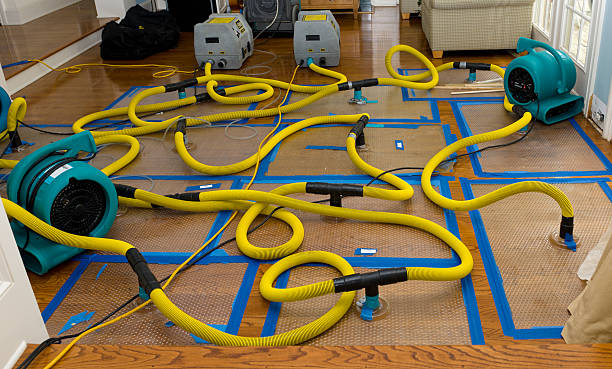 Professional Flood Damage Restoration technician working in Corona Del Mar, CA